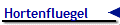 Hortenfluegel